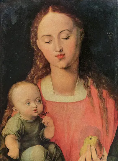 Madonna and Child with the Pear Albrecht Durer